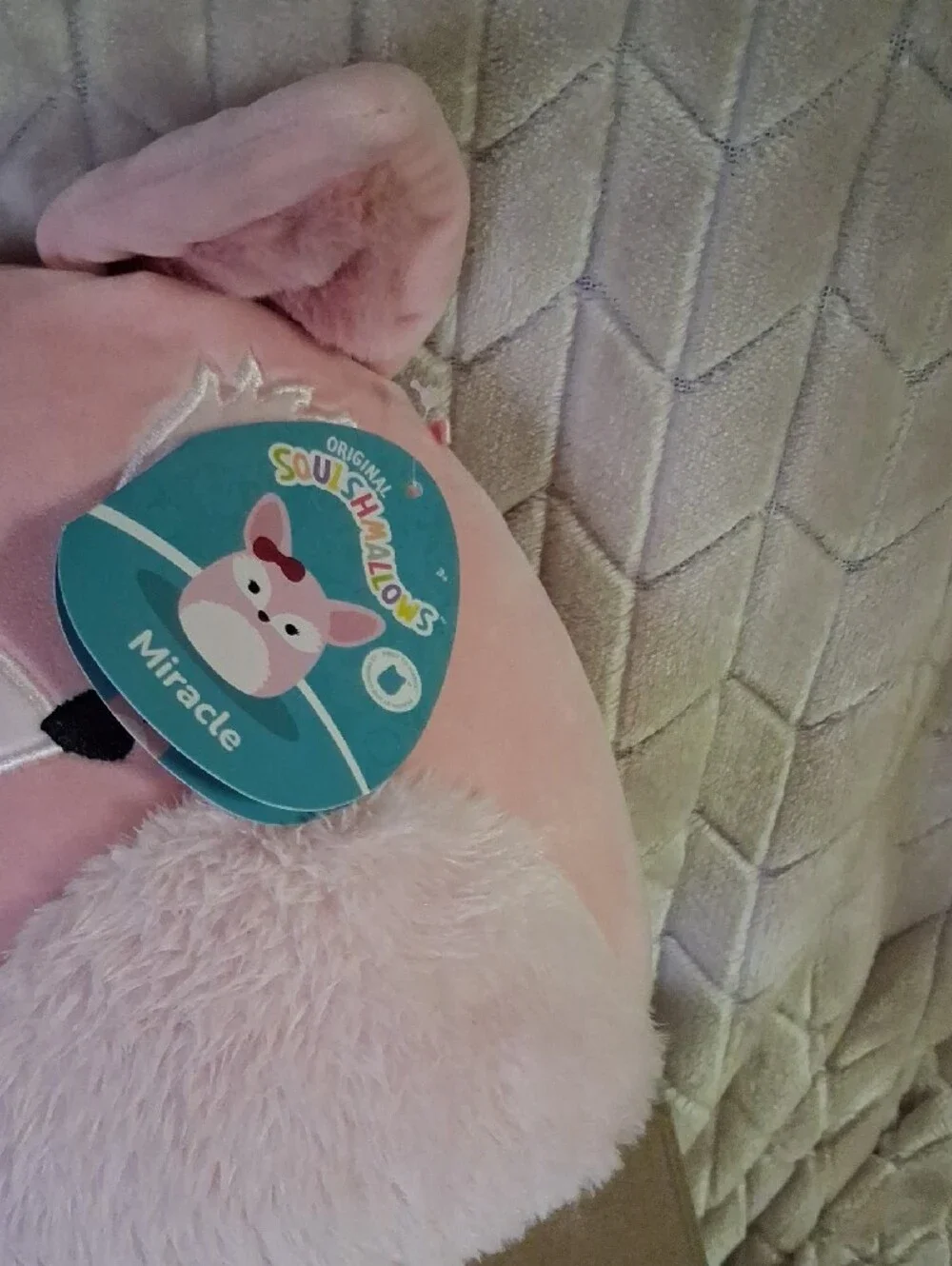 Squishmallow-This Is Miracle The Fennec Fox.
